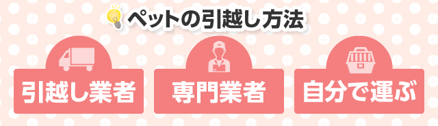 長距離でペットの引越し方法は引越し業者・専門業者・自分で運ぶの3つ